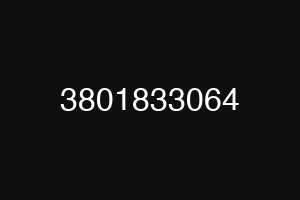 3801833064