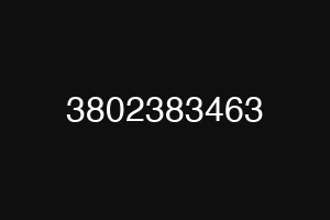 3802383463