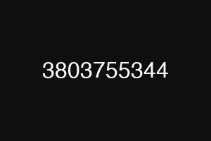 3803755344