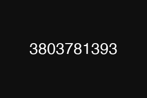 3803781393