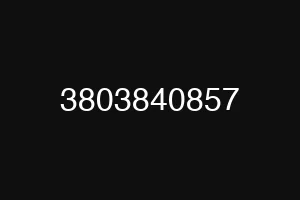 3803840857