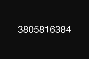 3805816384