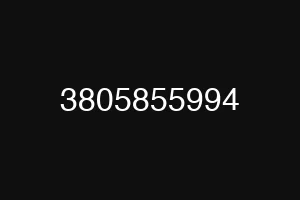 3805855994