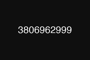 3806962999