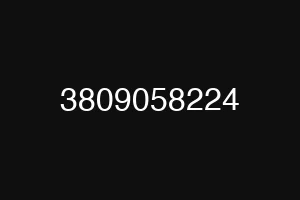3809058224