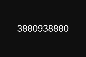 3880938880