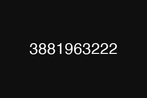 3881963222