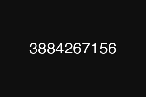 3884267156