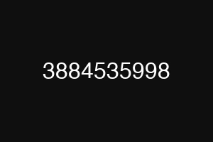 3884535998