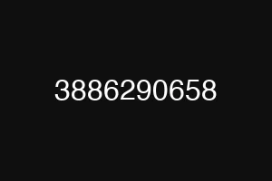 3886290658