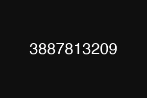 3887813209