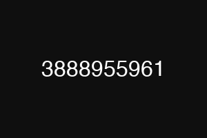 3888955961