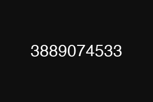 3889074533