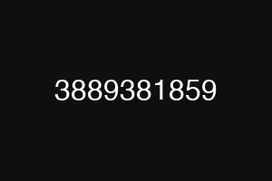 3889381859